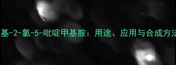 图片 🔥N-甲基-2-氯-5-吡啶甲基胺：用途、应用与合成方法全🔥1