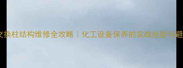 图片 🔧树脂交换柱结构维修全攻略｜化工设备保养的实战经验与避坑指南1