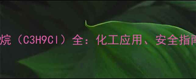 图片 🔬三甲基氯甲烷（C3H9Cl）全：化工应用、安全指南与合成方法1