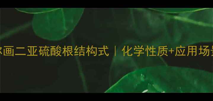 图片 🔬手把手教你画二亚硫酸根结构式｜化学性质+应用场景+避坑指南2