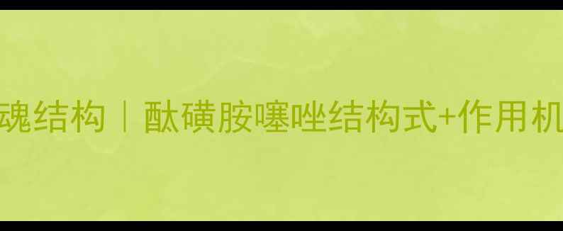 图片 🔬磺胺类药物灵魂结构｜酞磺胺噻唑结构式+作用机制+合成全流程1